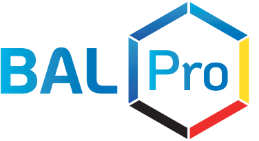 Das favicon der Ludewig Consulting GmbH