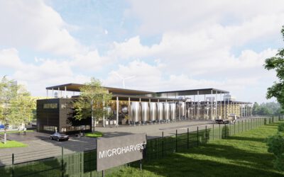 Von Petfood zu Human Food: Der Skalierungsweg von MicroHarvest